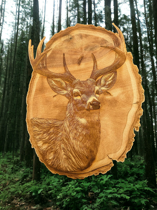 3D Illusion Engraving Mounted Buck, Front View