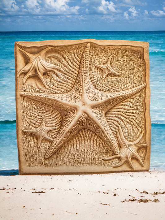 3D Illusion Engraving -Starfish