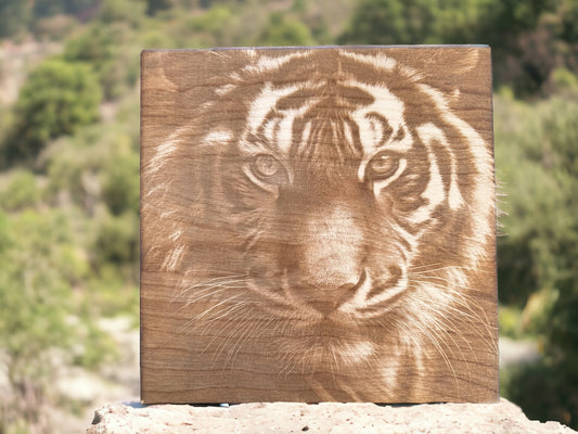 3D Illusion Engraving -Tiger Eye