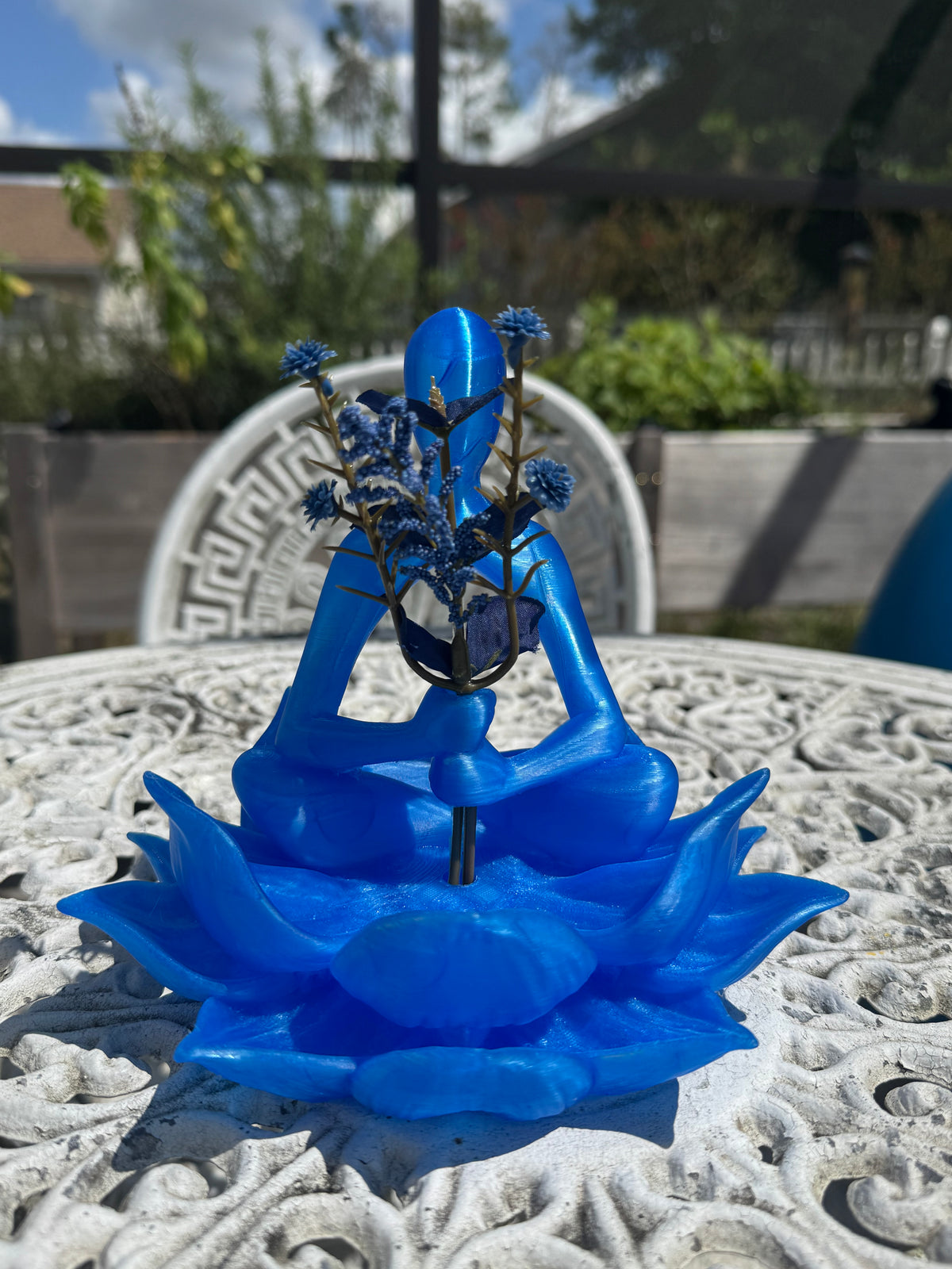 Meditation on an Iris